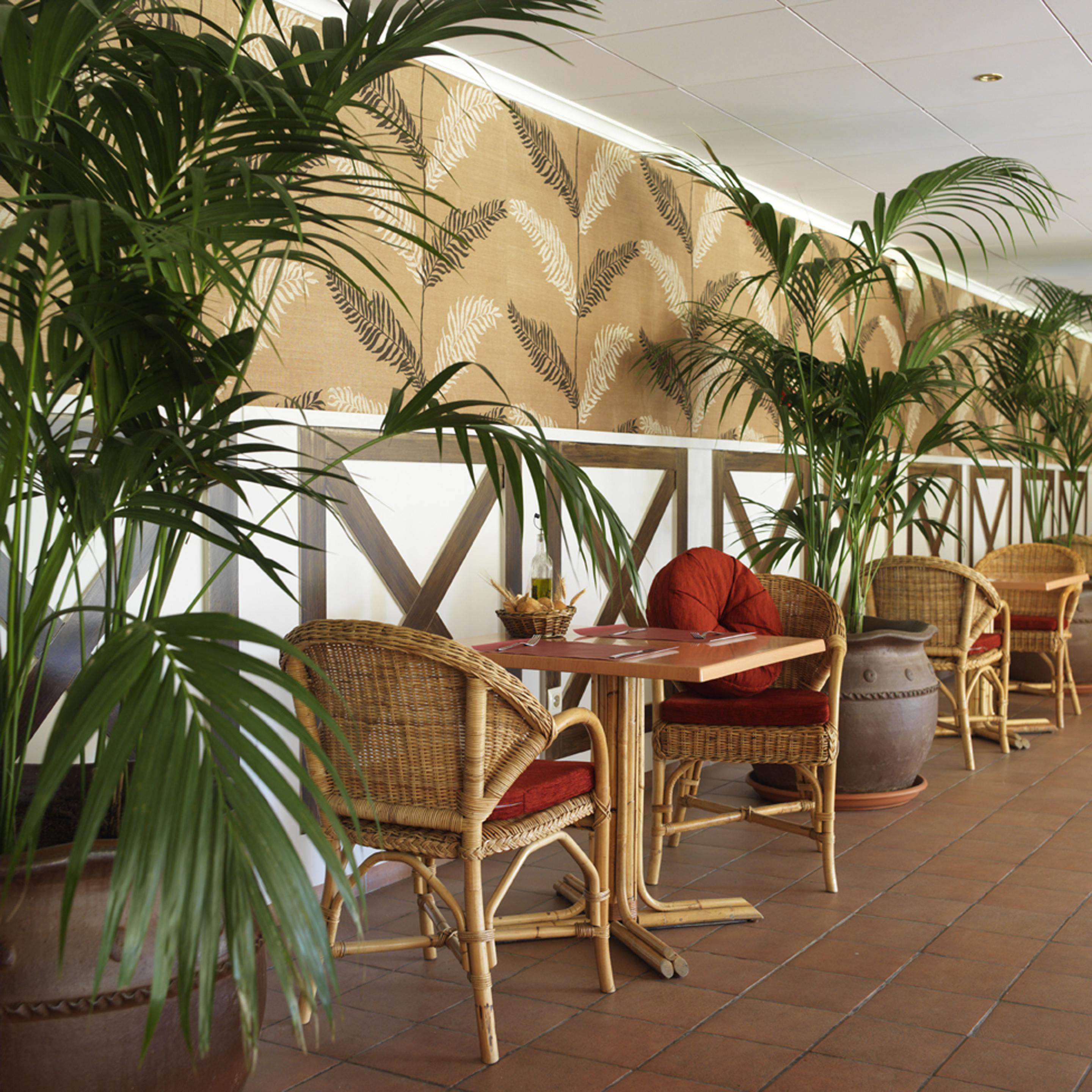 Luna Park Hotel Yoga & Spa Malgrat de Mar Εξωτερικό φωτογραφία