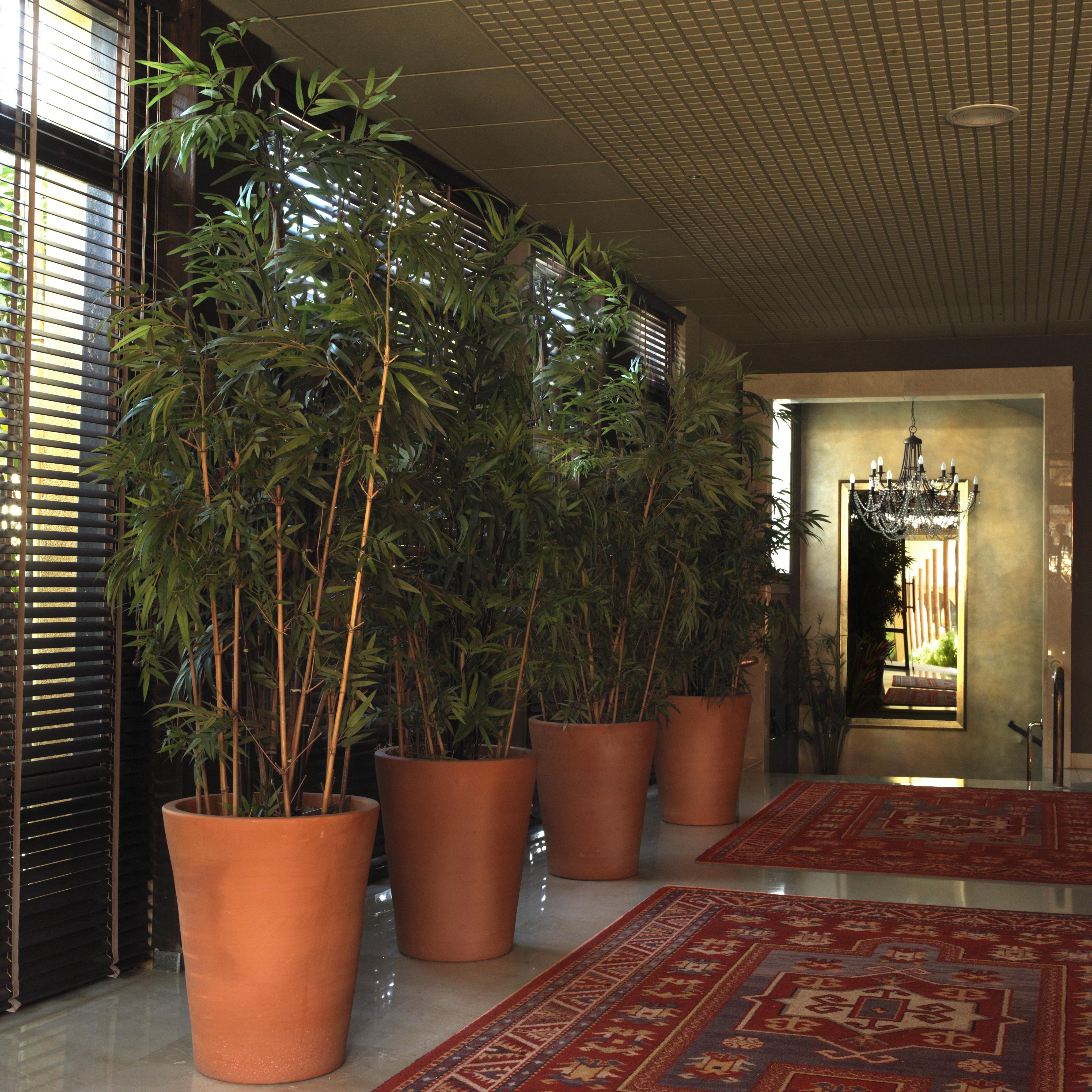 Luna Park Hotel Yoga & Spa Malgrat de Mar Εξωτερικό φωτογραφία